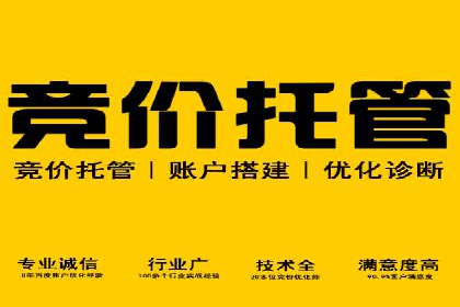 提升SEM运营效果：经典案例解析与策略